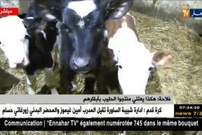 مباشر مع موفد تلفزيون النهار من مزرعة  قاسي بن عبد الرحيم بالعاصمة