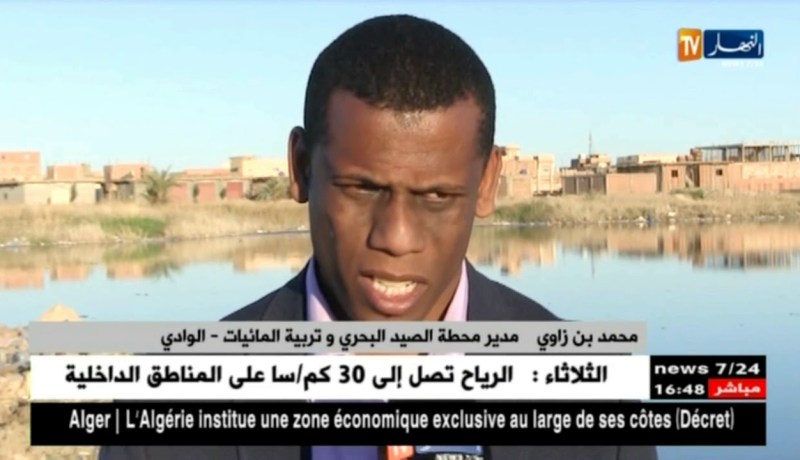 الوادي: المحاربة البيولوجية للبعوض بإستزراع سمك القمبوزيا