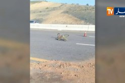 البويرة: وفاة 3 أشخاص بحادث إصطدام سيارة بـ 3 دراجات هوائية بالطريق شرق غرب