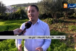 تيزي وزو: 30 هكتارا من المساحات الفلاحية مهددة بتحويلها إلى مناطق صناعية