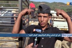 على أي أساس يختار الجزائريون” كبش العيد”