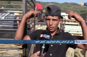 على أي أساس يختار الجزائريون” كبش العيد”
