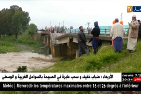 نقل: تعيين خبراء لمعرفة أسباب سقوط الجسر بولاية البليدة