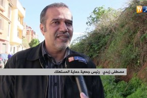 فلاحة: نحو إستيراد مليون دجاجة مبيضة ..هل سيعود التوازن لسوق اللحوم البيضاء؟