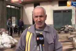 بجاية: تراجع محول زيت الزيتون هذا الموسم بفعل الحرائق وشح الأمطار