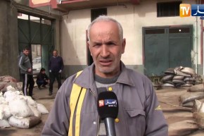 بجاية: تراجع محول زيت الزيتون هذا الموسم بفعل الحرائق وشح الأمطار