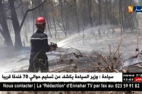 الحماية المدنية: تسجيل أكثر من 24 ألف تدخل متعلقة بحوادث المرور و حرائق الغابات