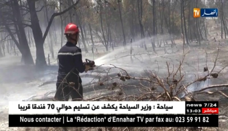 الحماية المدنية: تسجيل أكثر من 24 ألف تدخل متعلقة بحوادث المرور و حرائق الغابات