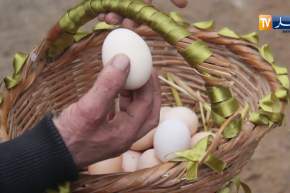 المدية: إقبال كبير على إقتناء “دجاج العرب” إحتفالا بيناير