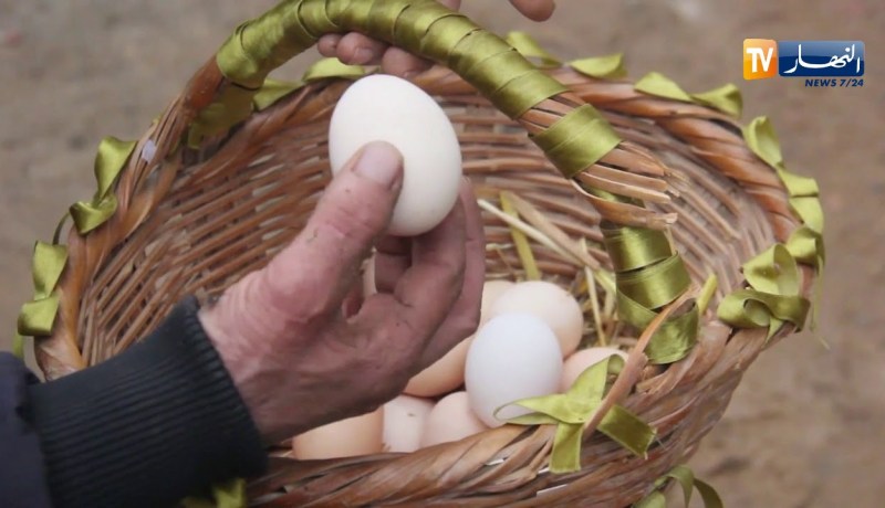 المدية: إقبال كبير على إقتناء “دجاج العرب” إحتفالا بيناير