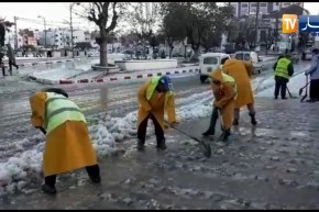 مديرية الغابات تتدخل لإزالة الثلوج بتلمسان