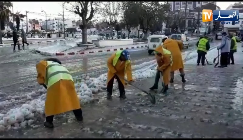 مديرية الغابات تتدخل لإزالة الثلوج بتلمسان