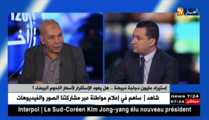 إستيراد مليون دجاجة مبيضة ..هل يعود الإستقرار لأسعار اللحوم البيضاء؟