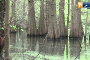 شاهد..السفيرة الألمانية تقوم بزيارة تفقّدية بالطّارف !!