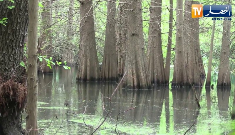 شاهد..السفيرة الألمانية تقوم بزيارة تفقّدية بالطّارف !!