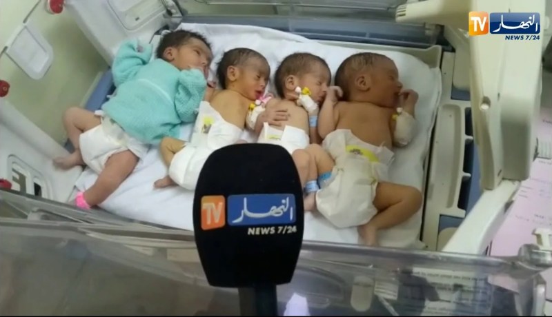 سيدي بلعباس : أم تضع أربعة توائم بصحة جيدة