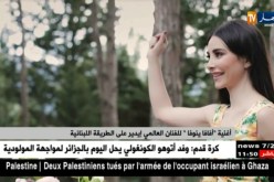 أغنية “أفافا ينوفا” للفنان العالمي إيدير على الطّريقة اللبنانية !!