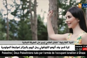 أغنية “أفافا ينوفا” للفنان العالمي إيدير على الطّريقة اللبنانية !!