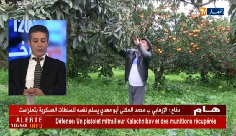 التأمين على النشاط الفلاحي.. ثقافة غائبة لدى غالبية الفلاحين !