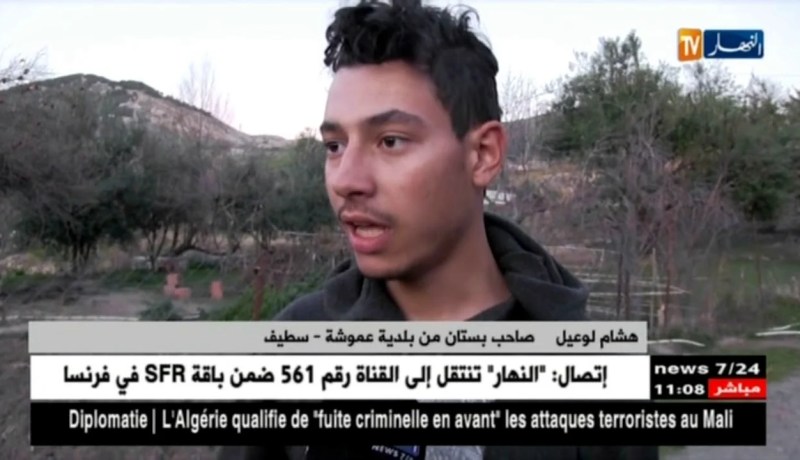 سطيف/ خروج براعم الأشجار قبل اوانها.. خطر يهدد الفلاحين بموسم مشؤوم