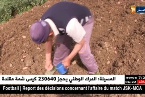 قالمة: فلاحو خضر القناوية يأملون إنتاج وفير هذه السنة