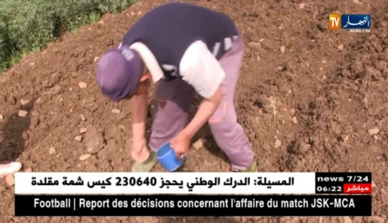 قالمة: فلاحو خضر القناوية يأملون إنتاج وفير هذه السنة