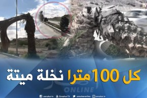 الشيخ النوي: العجب في الأغواط.. طرقات كارثية وين تمشي تصيب لعوج