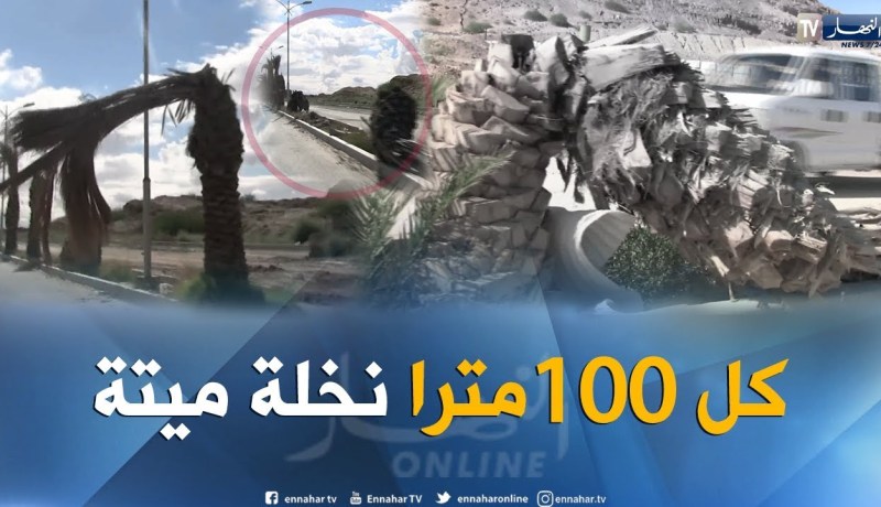 الشيخ النوي: العجب في الأغواط.. طرقات كارثية وين تمشي تصيب لعوج