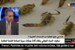 هذه هي طرق الوقاية من التسممات العقربية !!