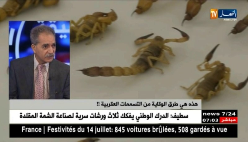 هذه هي طرق الوقاية من التسممات العقربية !!