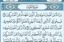 قراءة سورة التوبة في الحلم