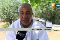جيجل شمع العسل… يجمع بين القيمة الغذائية والصحية