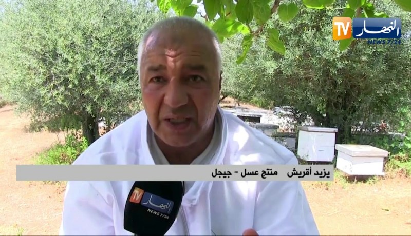 جيجل شمع العسل… يجمع بين القيمة الغذائية والصحية