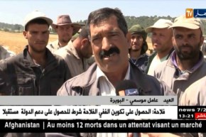 البويرة: تواصل عملية الحصاد وتفاؤل بزيادة الإنتاج