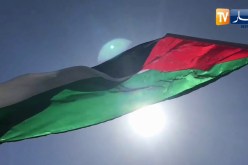 شاهد..مسيرة سلمية حاشدة بوهران