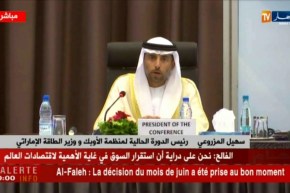 وزير الطاقة الإماراتي : نقدر العمل الذي يبذله الرئيس عبد العزيز بوتفليقة