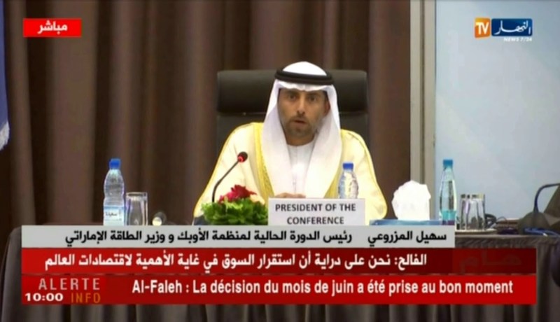 وزير الطاقة الإماراتي : نقدر العمل الذي يبذله الرئيس عبد العزيز بوتفليقة