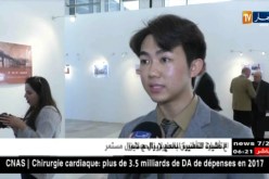 طريق الحرير .. معرض يوحد بين الجزائر ودولة الصين