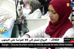 تكنولوجيا: “تيليكوم حسناوي”.. مؤسسة وطنية خاضت غمار الإستثمار في المجال