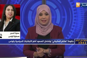 تساؤلات: حكومة “هشام المشيشي” وإمتحان الصمود أمام التجاذبات السياسية بتونس