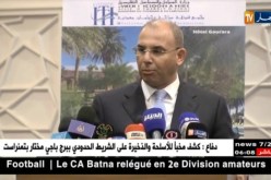 “زعلان” يجرى تجديد جزء من الأسطول الجزائري فضلا عن التحضير لمحطتين بحريتين