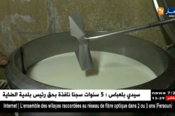 وزير الفلاحة: تم تعليق نشاط 4 ملبنات بسبب تجاوزات و عدم احترام مسار التوزيع