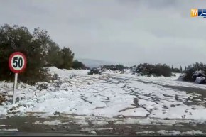 سيدي بلعباس: جبال الضاية تكتسي الحلة البيضاء