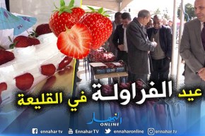 دائرة القليعة تنظم الطبعة الأولى لعيد الفراولة
