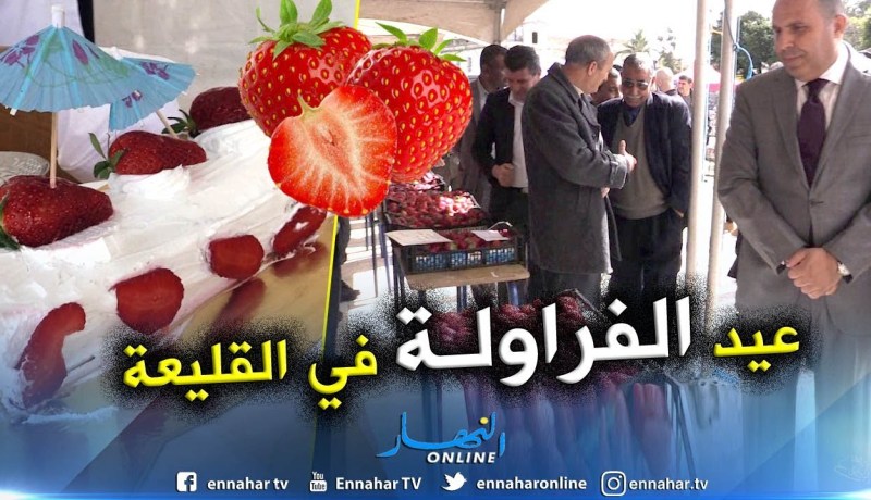 دائرة القليعة تنظم الطبعة الأولى لعيد الفراولة