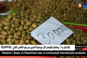 تجارة: الأسواق التجارية.. أسعار العارضين ترضي الزبائن