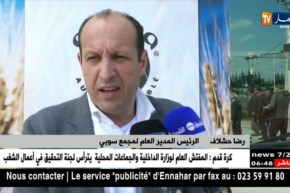 فلاحة/ تكوين شبكة خاصة بمنتجي الحبوب للتعامل مع المصنعين مباشرة