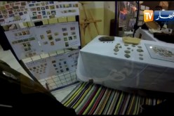 قذيفة هاون في الصالون الوطني للشباب المُجمِّع بتيسمسيلت !