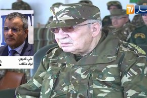 علي غديري: أنا أرحب بكل القرارات التي تتماشى مع الدستور والكلمة الأخيرة للشعب