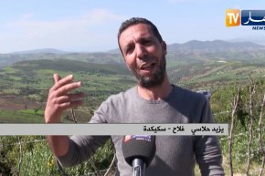 سكيكدة : مواطنون يعودون لإعمار المناطق الريفية رغم غياب الدعم